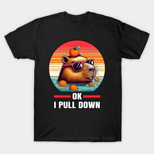 Ok I Pull Down Funny Capybara T-Shirt